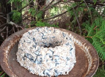 Hemlagad fågelmat featured image