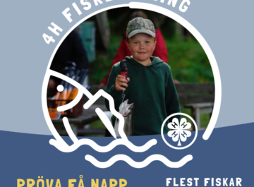 4H Fisketävlingen: Anmäl resultat senast 31.8. till Fs4H featured image